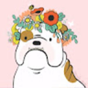 Meet your Posher, Diana